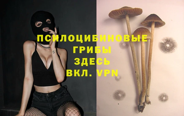 эйфоретик Богородск