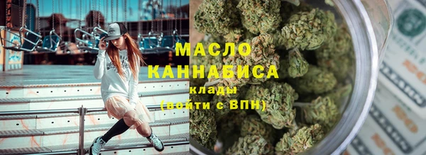 прущий лед Богданович