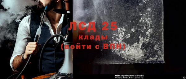 прущий лед Богданович