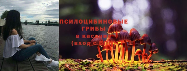 ПСИЛОЦИБИНОВЫЕ ГРИБЫ Иннополис